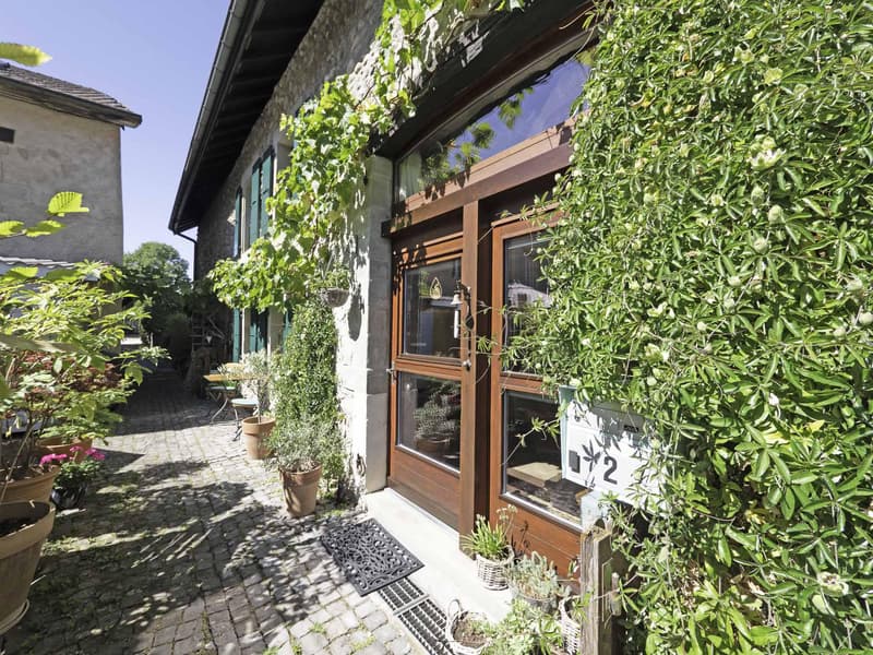 Maison bourrée de charme et de cachet à Certoux (2)