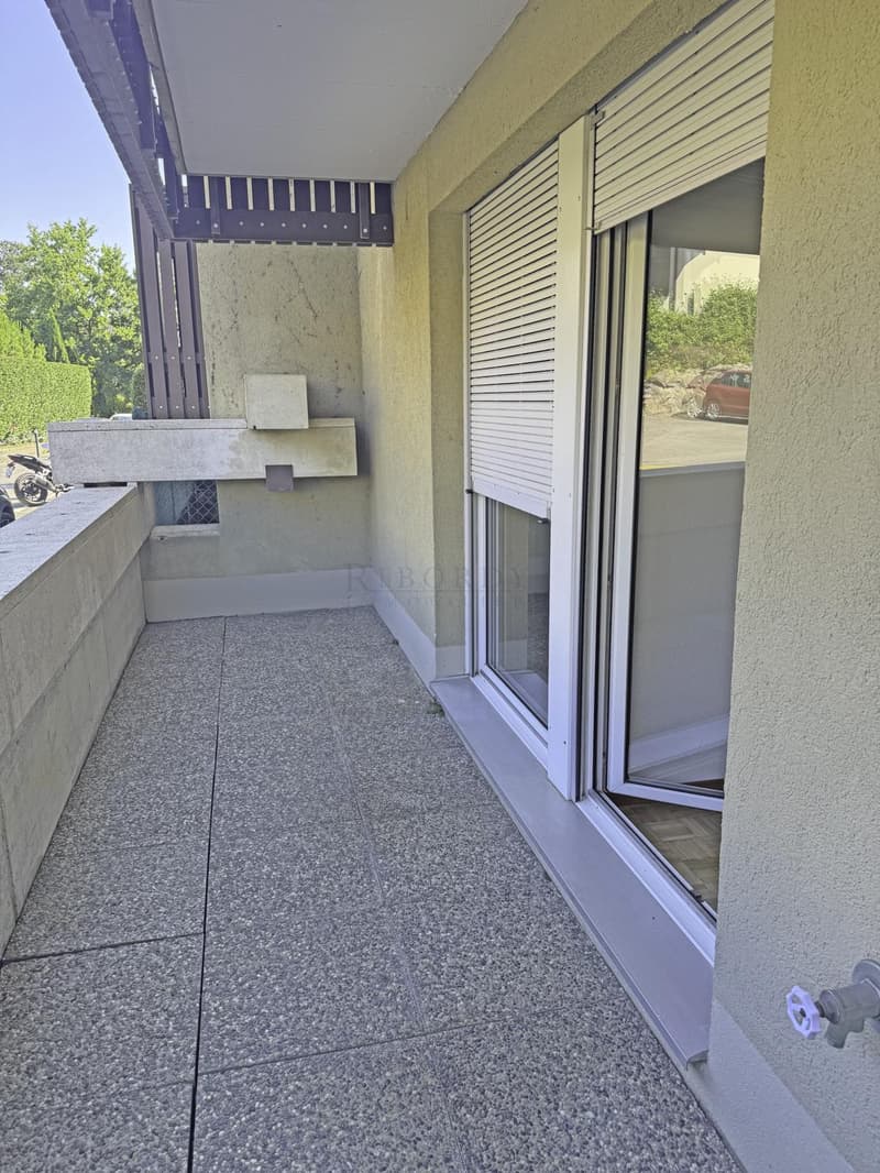 Spacieux, ensoleillé, avec une grande terrasse ainsi qu'un balcon ! (8)
