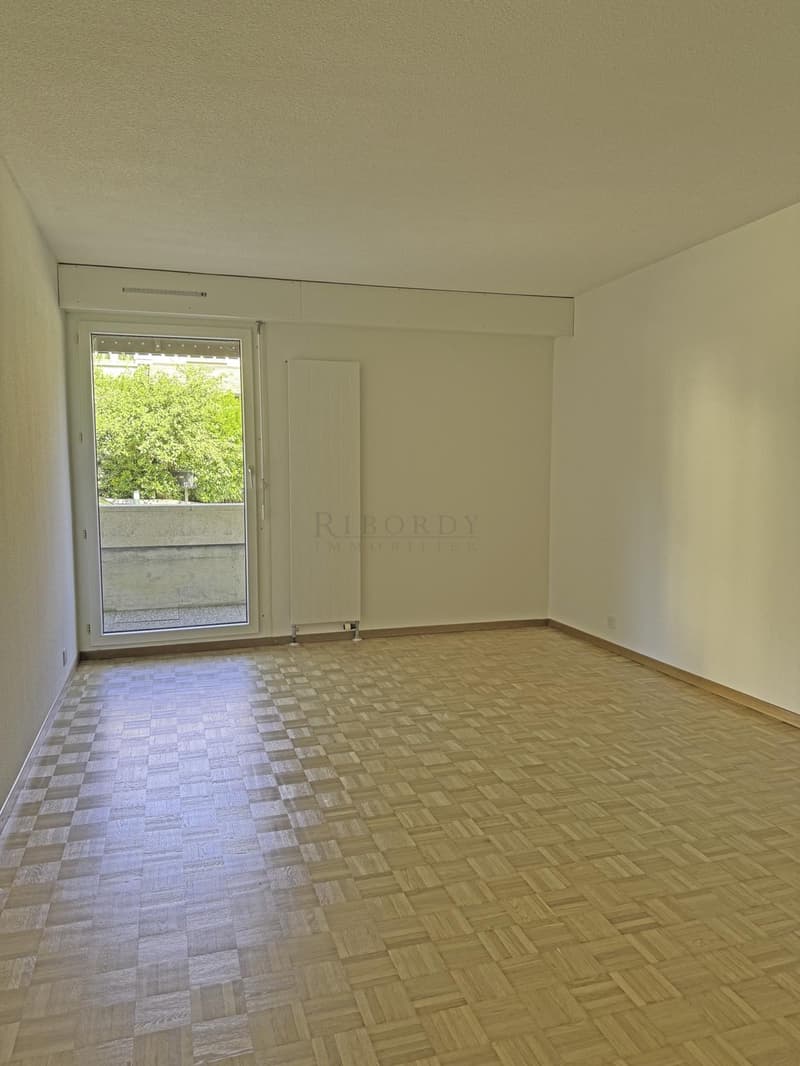 Spacieux, ensoleillé, avec une grande terrasse ainsi qu'un balcon ! (6)