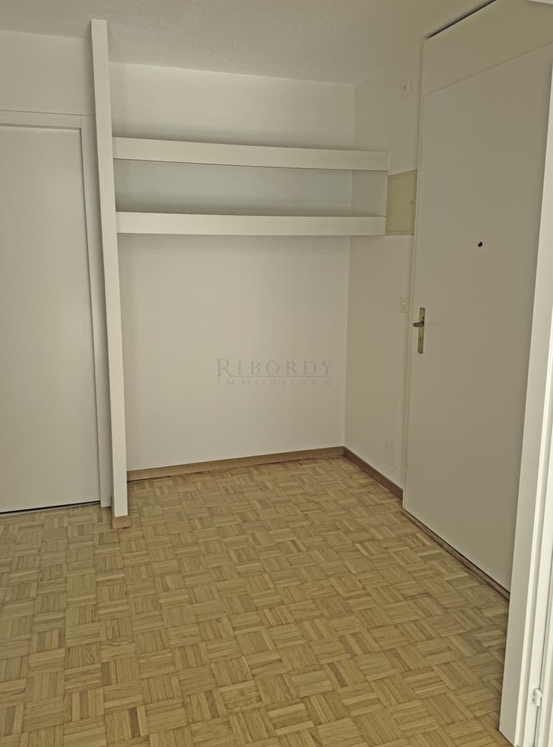 Spacieux, ensoleillé, avec une grande terrasse ainsi qu'un balcon ! (11)