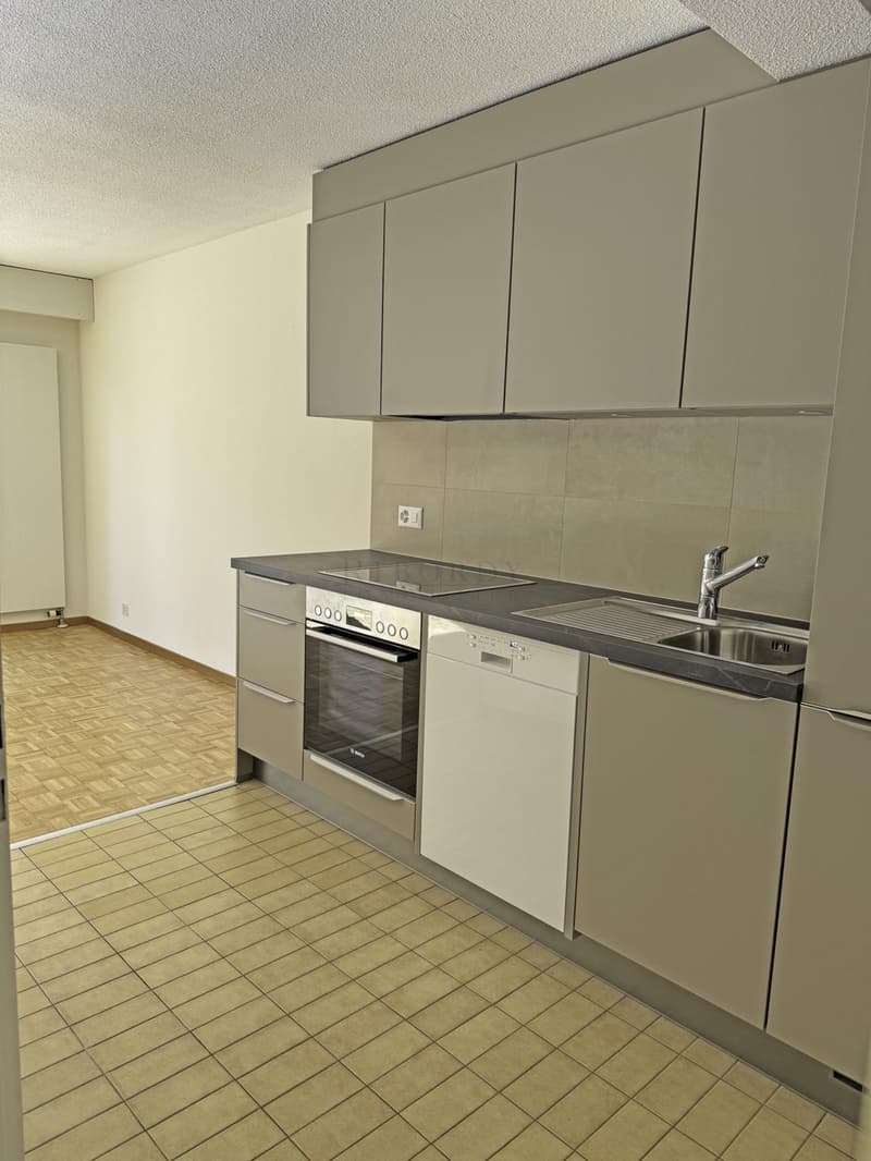 Spacieux, ensoleillé, avec une grande terrasse ainsi qu'un balcon ! (9)