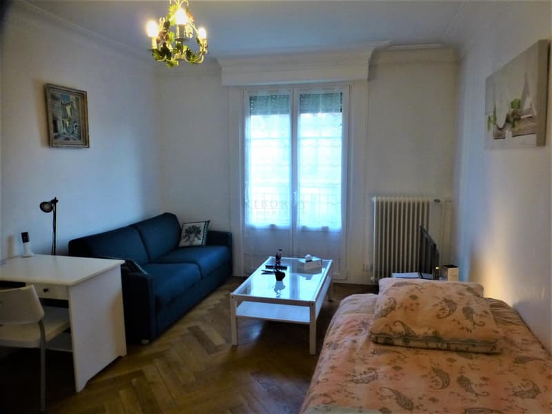 Bello appartamento di 2 locali all'ultimo piano con balcone... (1)