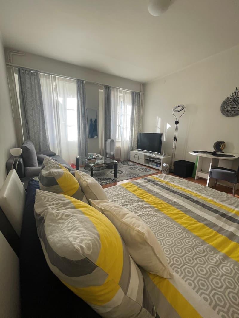 Charmant studio au coeur de la vieille ville de Sion (2)