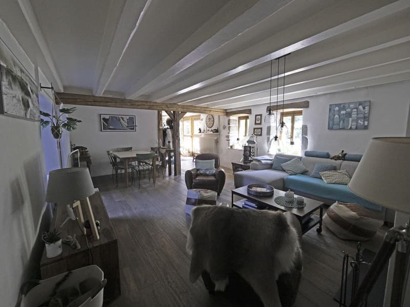 Maison bourrée de charme et de cachet à Certoux (4)