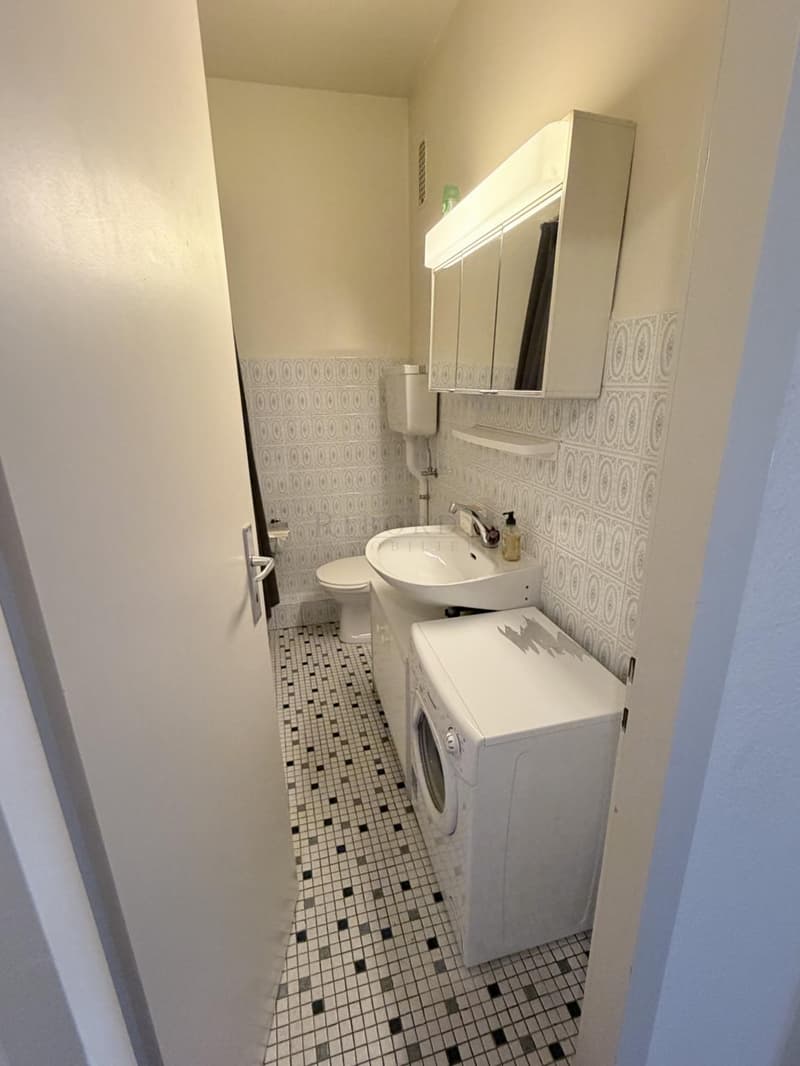 Appartement de 2.0 pièces meublé dans immeuble d'époque ! (6)