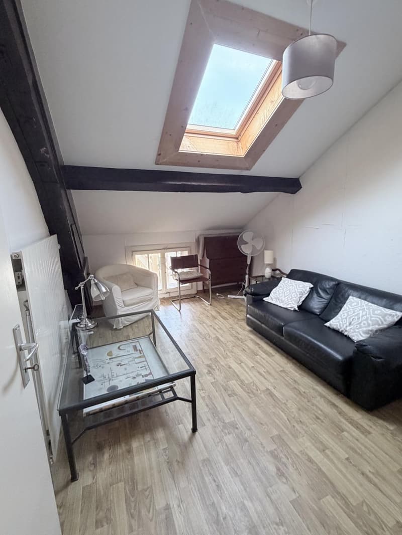 Appartement de 2.0 pièces meublé dans immeuble d'époque ! (4)