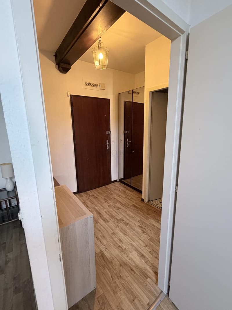 Appartement de 2.0 pièces meublé dans immeuble d'époque ! (10)