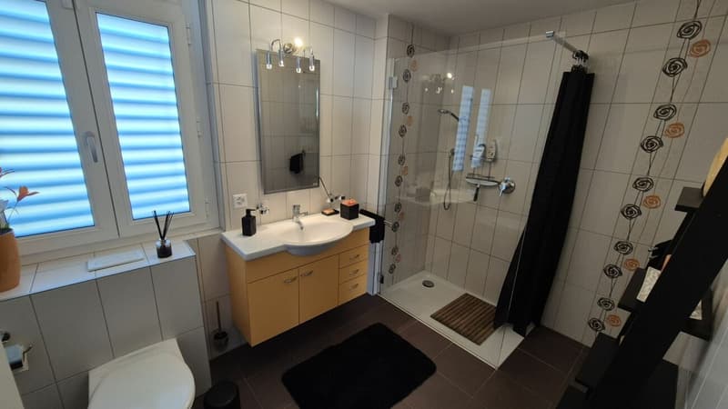 Villa 5 1/2 Zimmer in Evouettes (10)