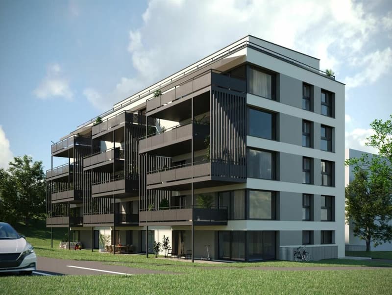 Apartment 5.5 rooms in Vouvry (3)