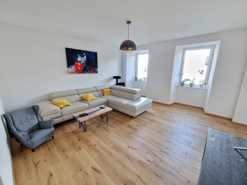 Appartement 4.5 pièces au rez (1)