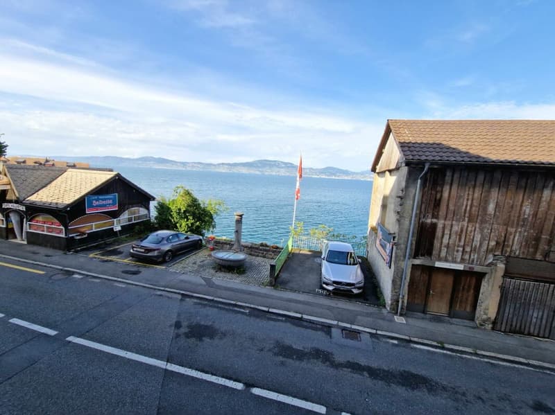 Appartement 4.5 pièces au rez (4)