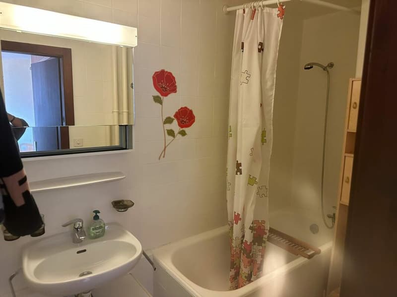 Zweizimmerwohnung möbliert (4)
