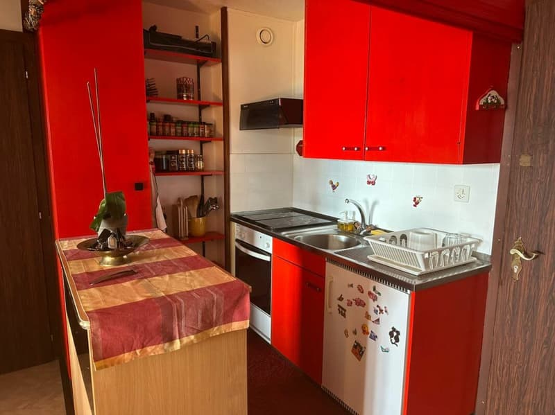 Zweizimmerwohnung möbliert (3)