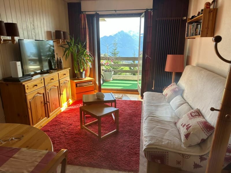 Zweizimmerwohnung möbliert (2)