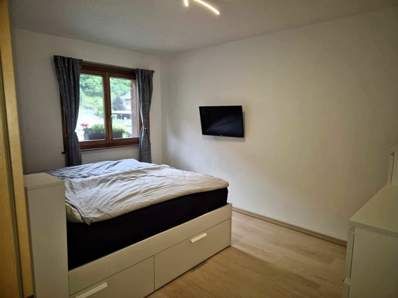 Appartamento 4.5 locali con giardino (8)