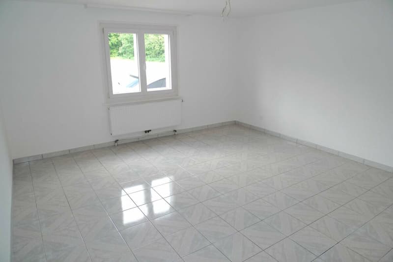 Appartamento di 2,5 locali con giardino (5)