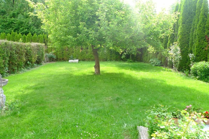 Appartamento di 2,5 locali con giardino (12)
