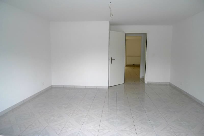 Appartamento di 2,5 locali con giardino (4)