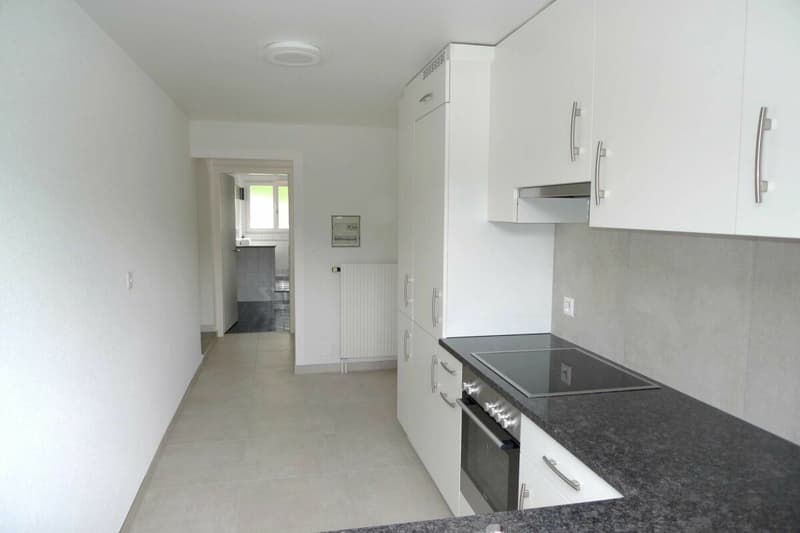 Appartamento di 2,5 locali con giardino (2)