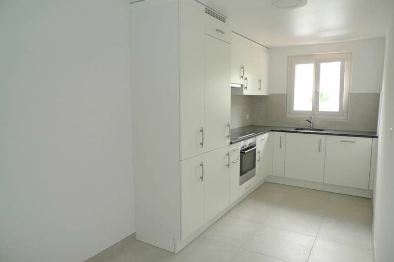 Appartamento di 2,5 locali con giardino (3)