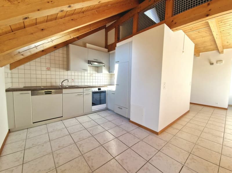 Appartamento duplex 3 1/2 locali con mezzanino (2)