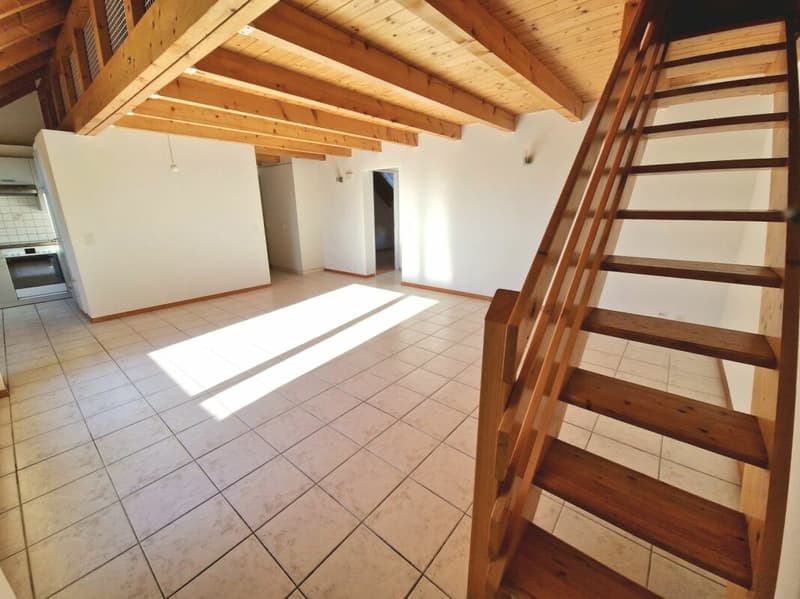 Appartement duplex 3 1/2 pièces avec mezzanine (6)