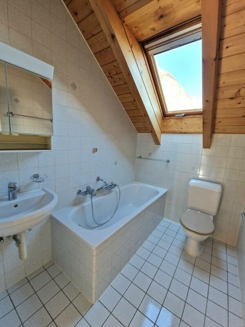 Appartement duplex 3 1/2 pièces avec mezzanine (9)