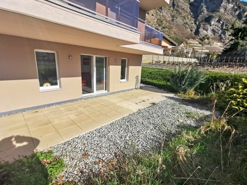 Terrasse et jardin