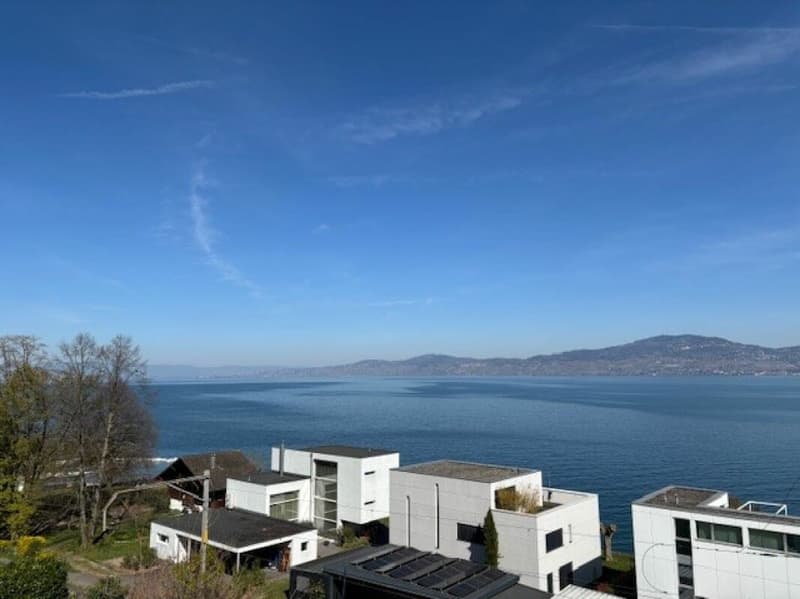 Appartement 2.5 pièces, balcon vue lac (1)