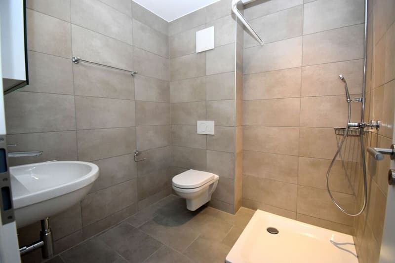 Appartement 3.5 pièces rez-de-chaussée (6)