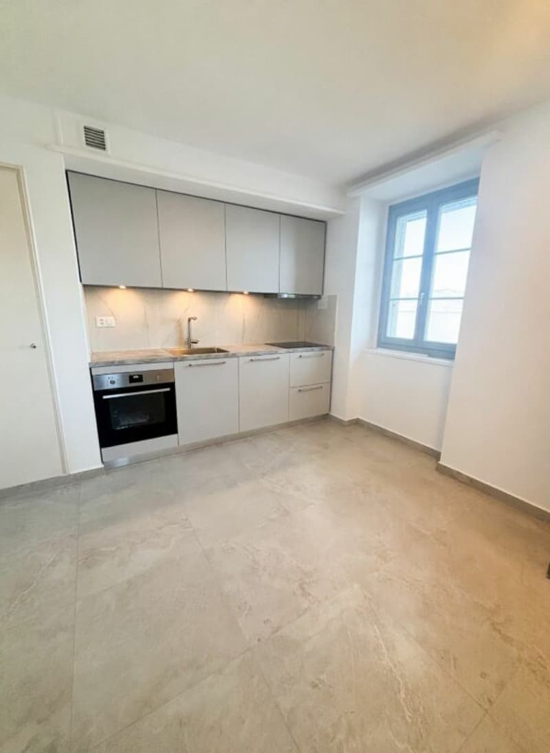 Appartement 3,5 pièces en attique (8)