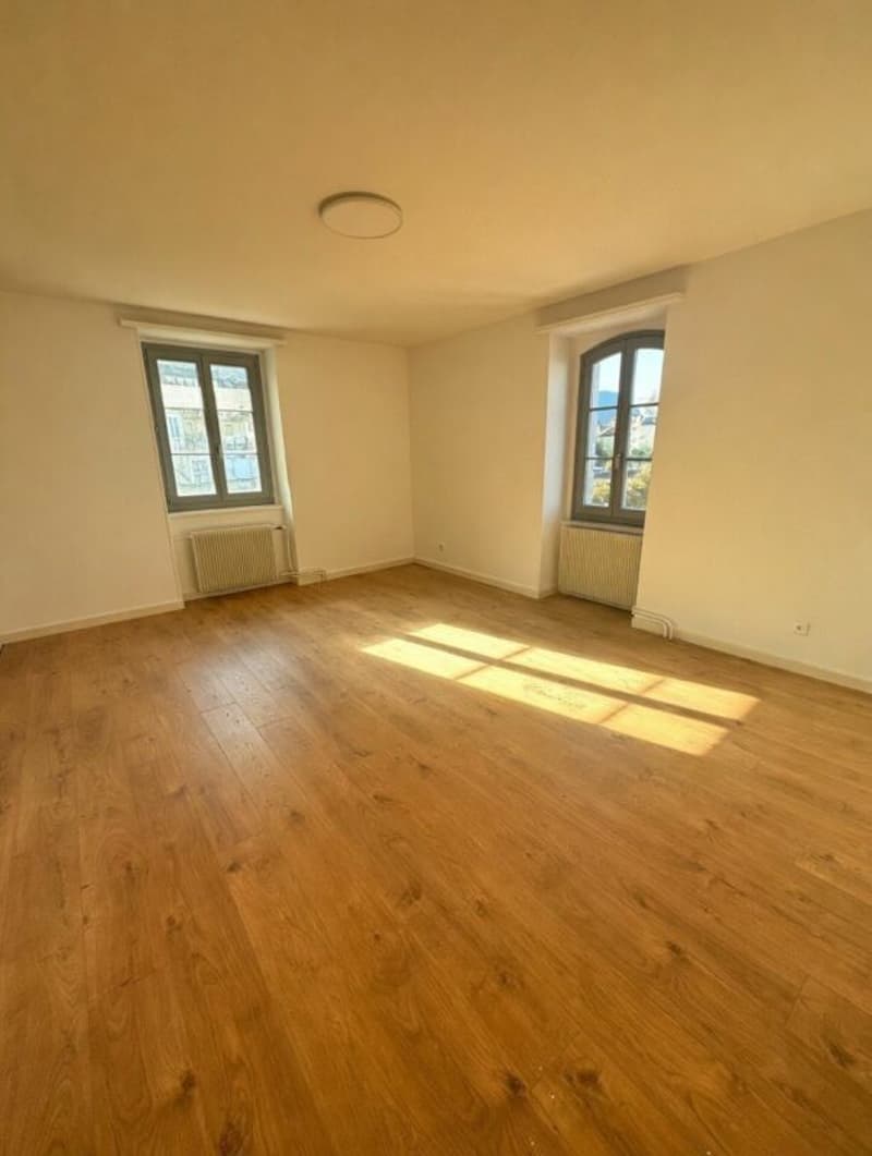 Appartement 3,5 pièces en attique (10)