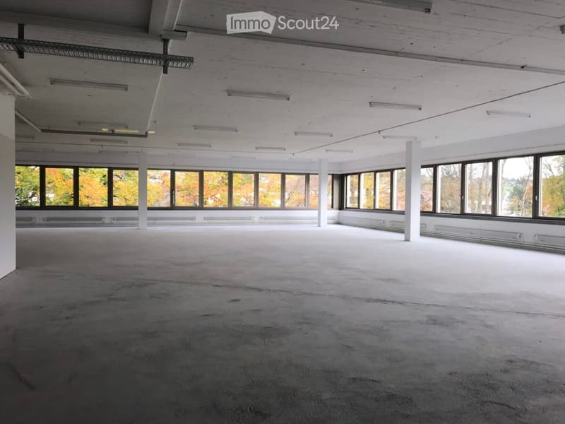 Large open-plan office space with high ceilings, concrete floor, and large windows overlooking a wooded outdoor area. The space appears to be unfinished or under renovation, with exposed ceiling beams and a bare concrete floor.