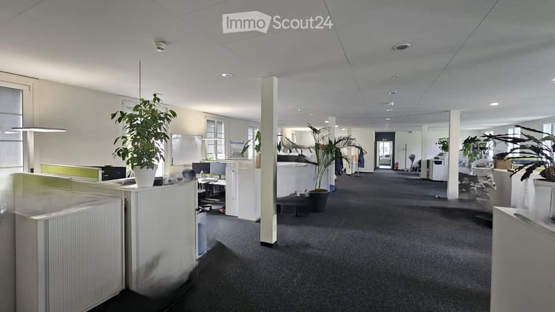 A large office space with white walls, white pillars, gray carpet, several desks, monitor, chair, glass door, white cabinets, and potted plants