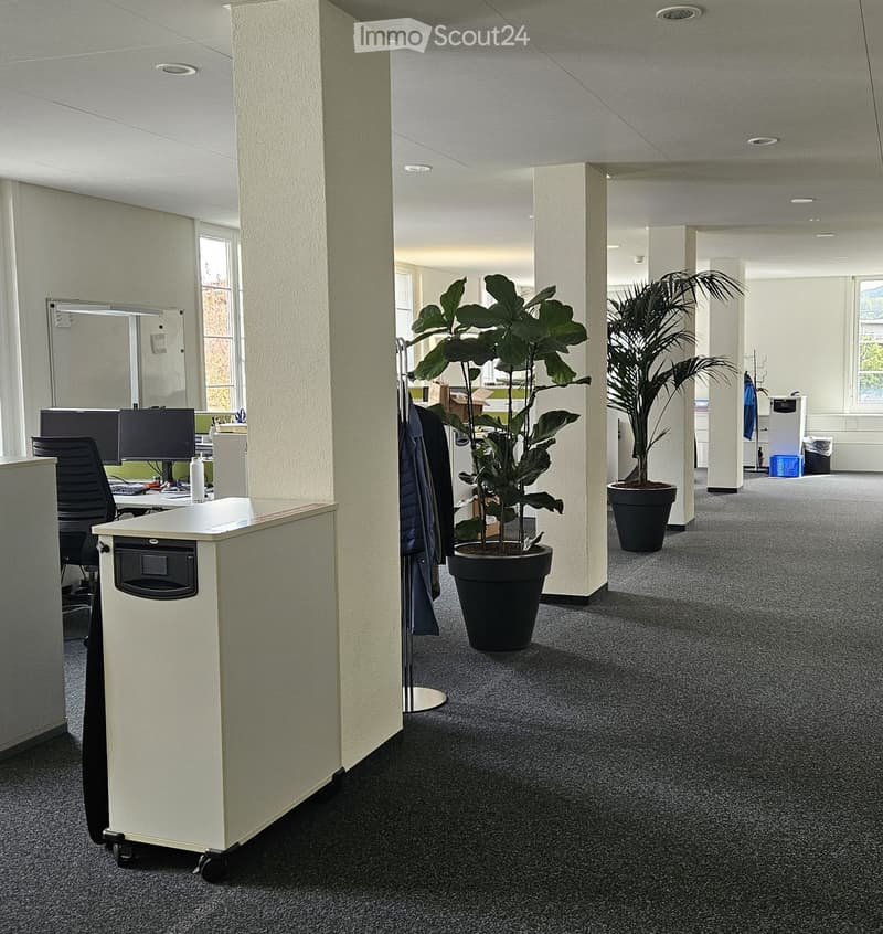 empty office room with carpeted floor, white walls, windows, pillars, coat rack, computer desk, computer monitors, plants