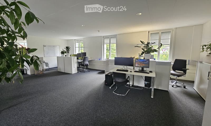 an office space with multiple desks, chairs, computers, monitors, plants, a whiteboard, and carpeted floors