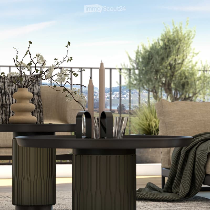 outdoor space, modern table, balcony, vase, cushions, decorative plants, rug, metal legs
