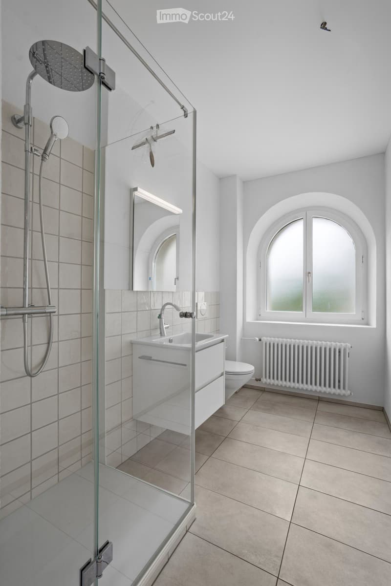 shower, sink, mirror, toilet, heating, tiles, window