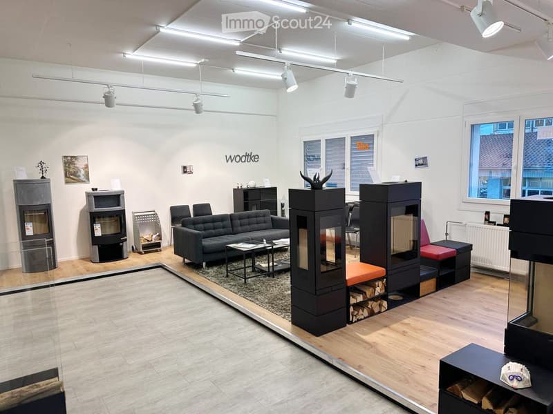 modern living room with black sofa, black fireplaces, wooden floor