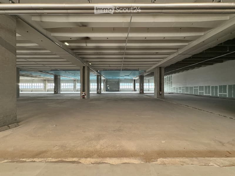 Empty, industrial-style space with exposed beams, concrete floor, and glass windows.