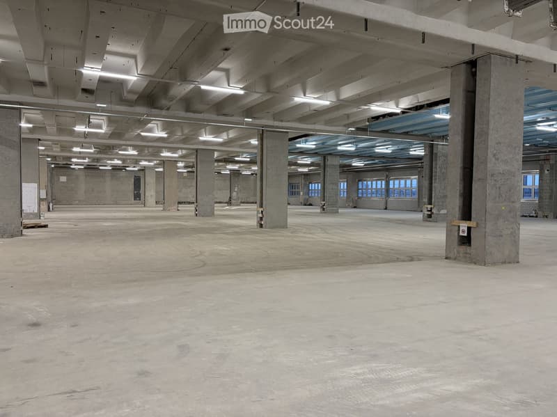 Empty industrial building, concrete floor, steel beams, windows, unfinished construction