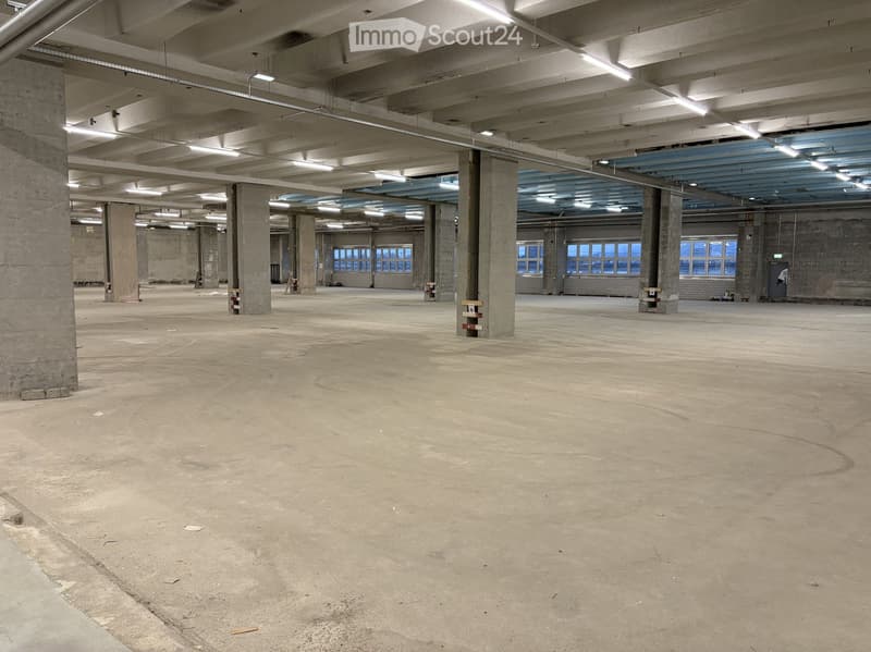 open space, concrete floor, high ceiling, multiple pillars, windows