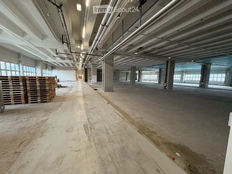 Empty hall way, concrete floor, steel beams, pallets, windows