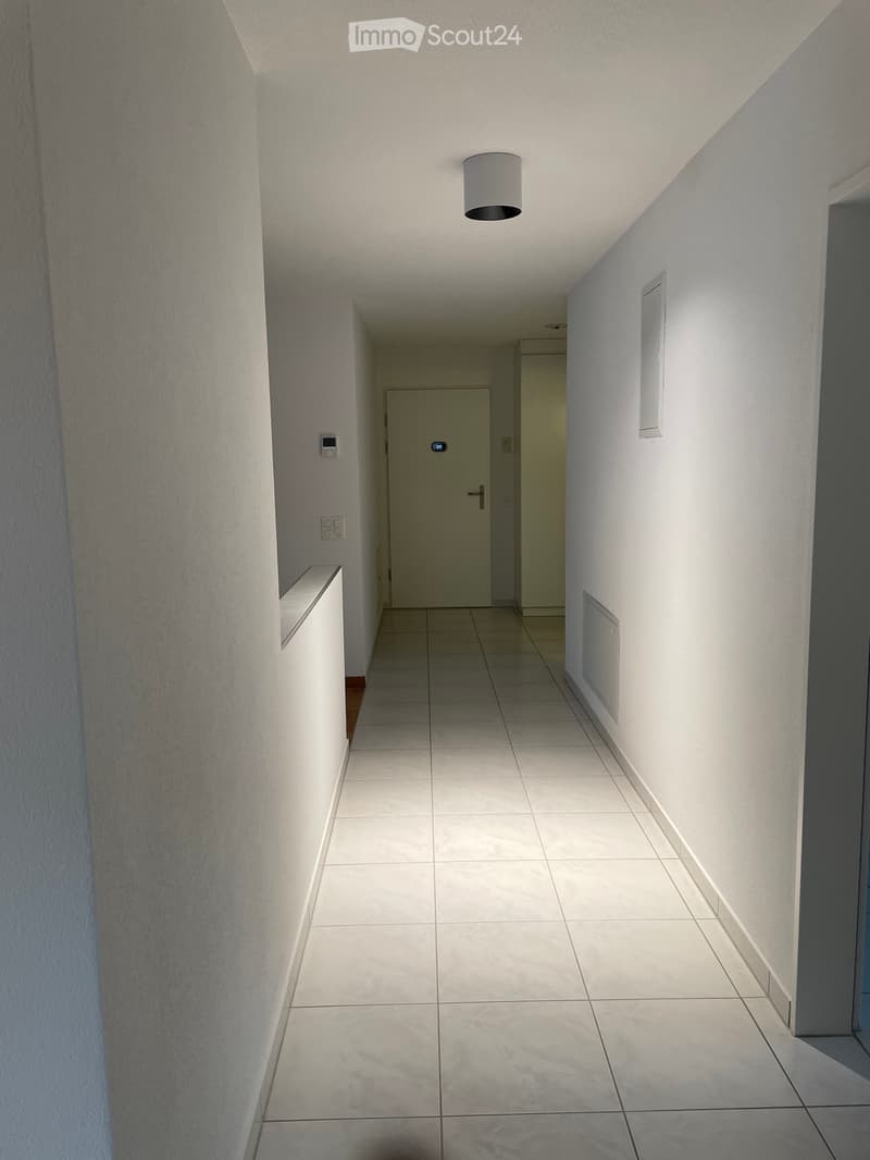 Appartamento appena ristrutturato in posizione centrale (13)
