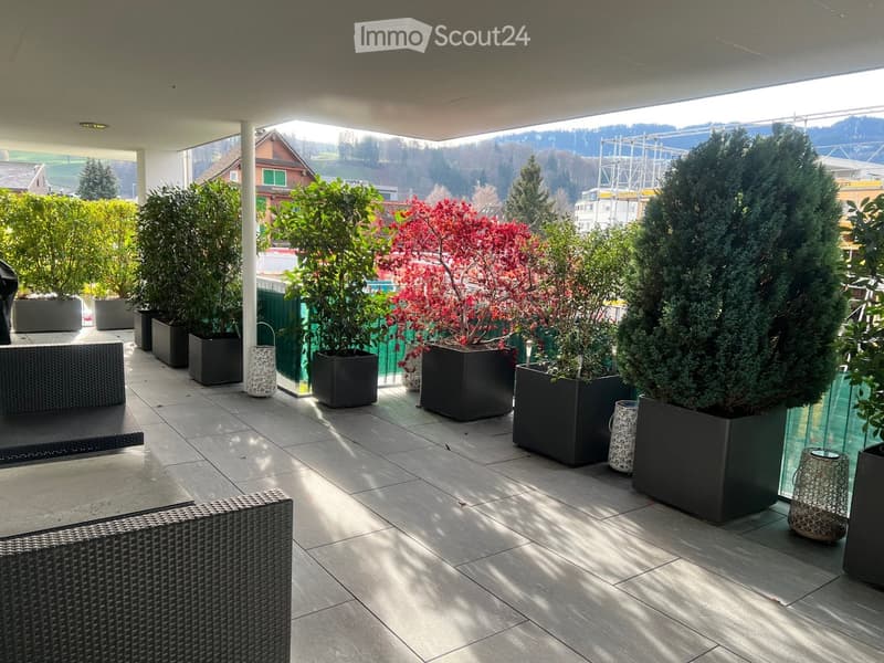 a terrace with garden furniture and plants in black planters, large green trees, sunny