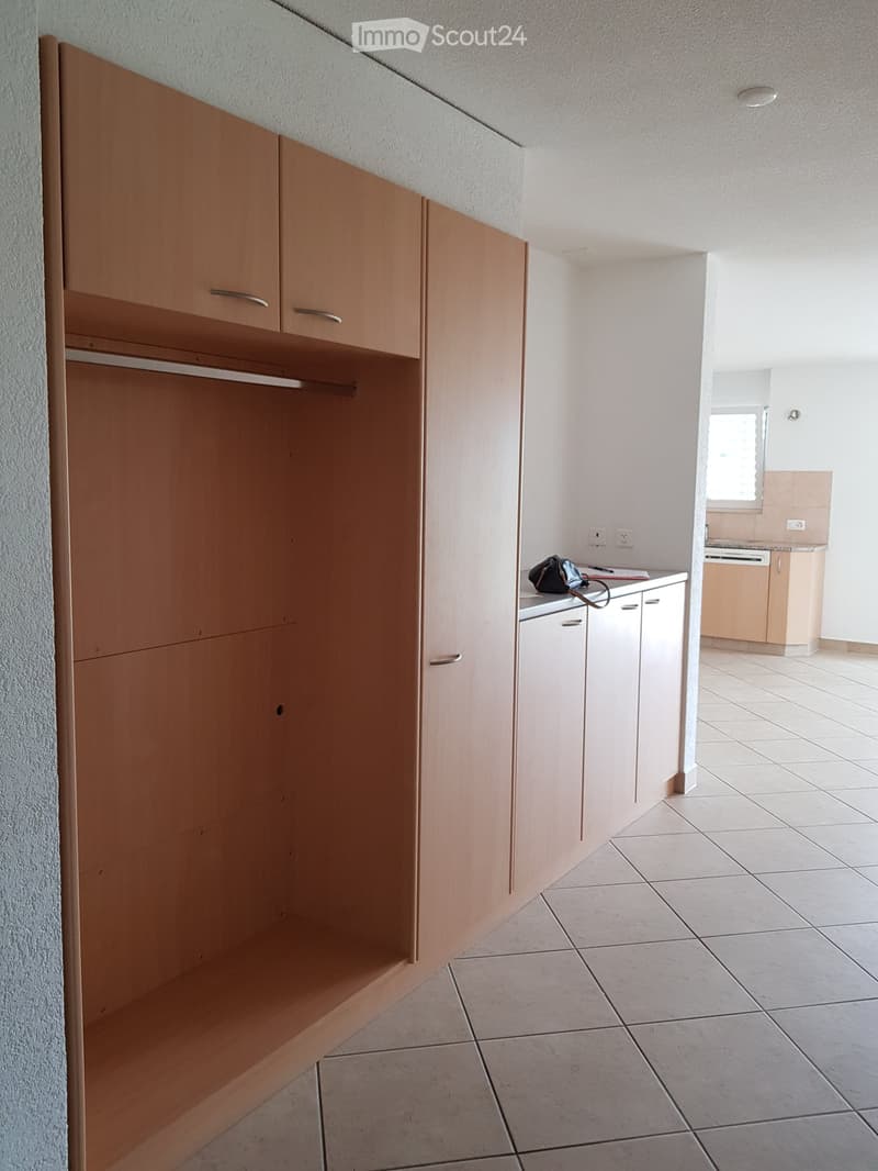 Large built-in wardrobe, cabinets, counter with electric outlets, and dishwasher.
