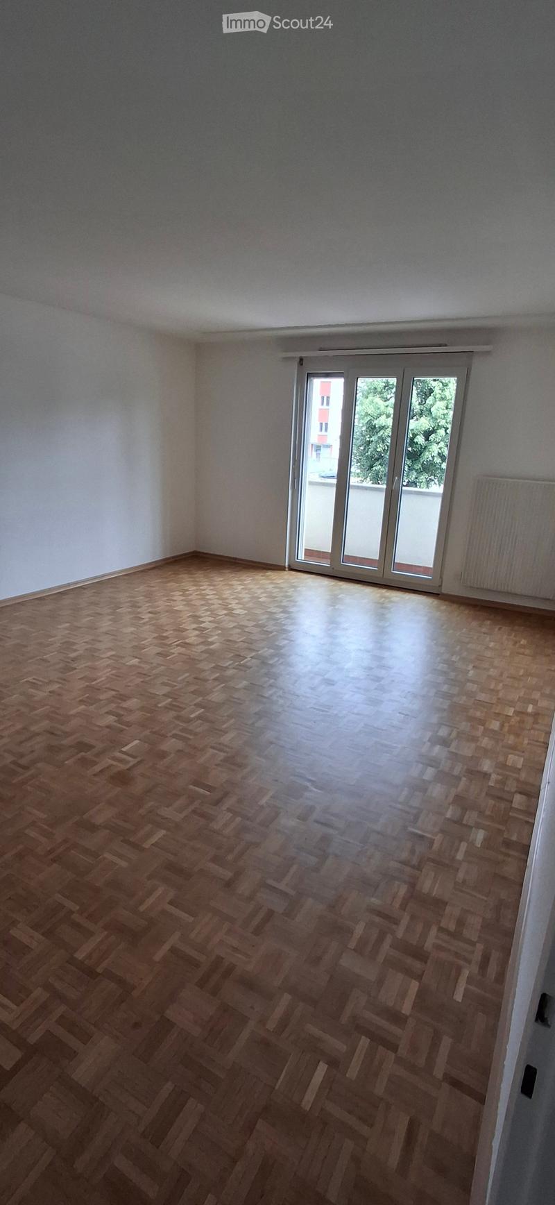 large open room, wooden parquet flooring, large sliding glass door with balcony view, white walls, heating system on the wall