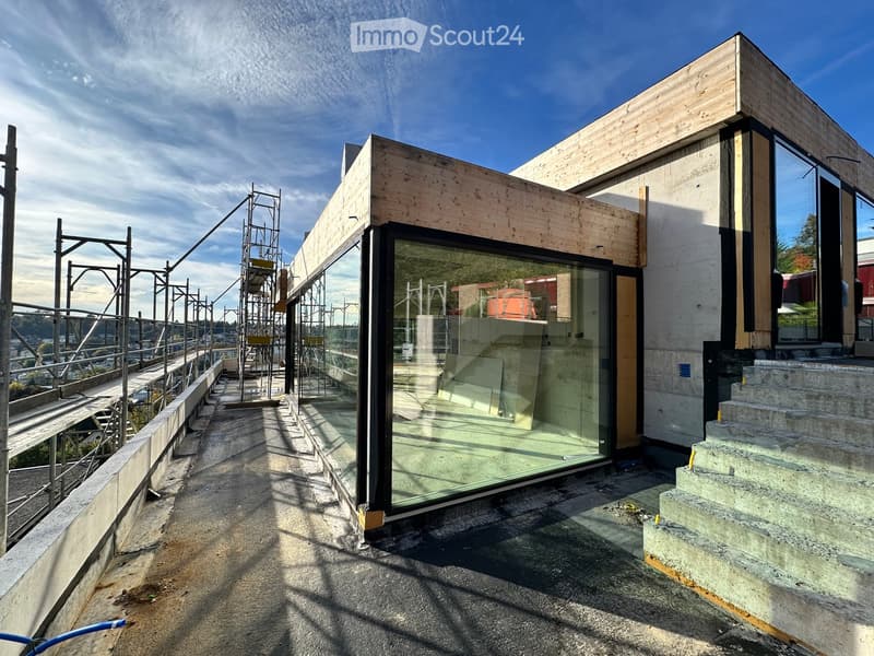 Modern building, glass wall, wood facade, under construction, concrete steps, metal scaffolding