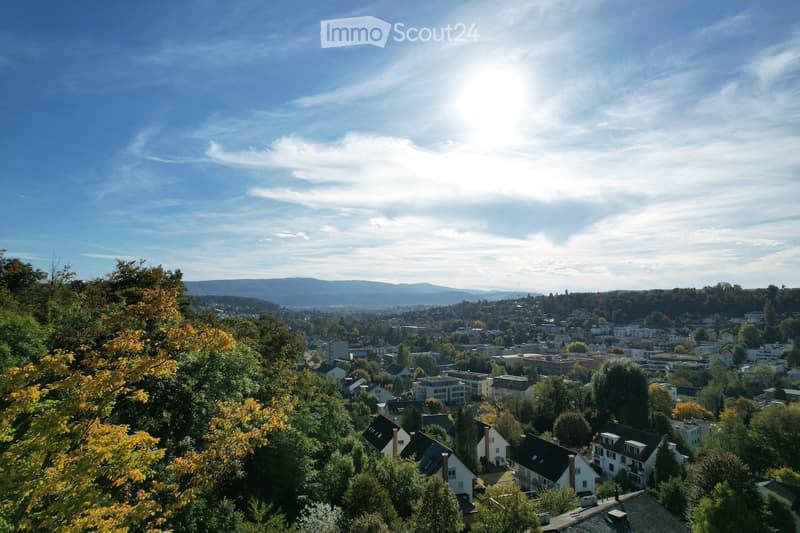 cityscape, mountains in the background, trees in the foreground, blue sky with clouds