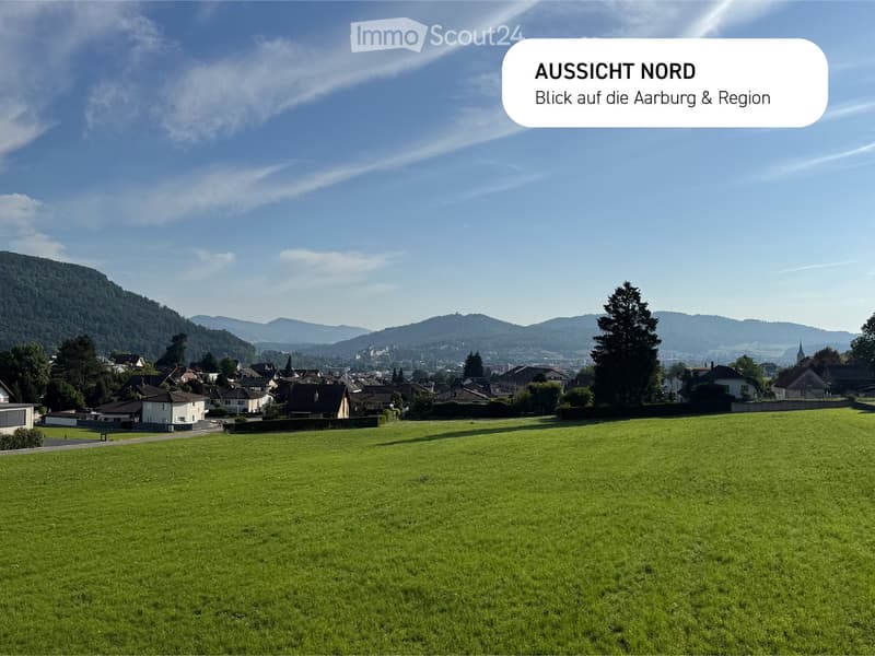 Green meadow with houses and mountains in the background.